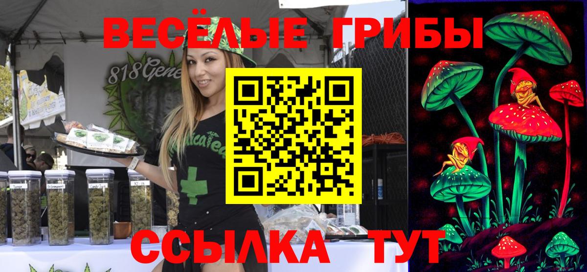 Псилоцибиновые грибы мухоморы  Вход с VPN  Псилоцибиновые грибы Psilocybe  Майский 