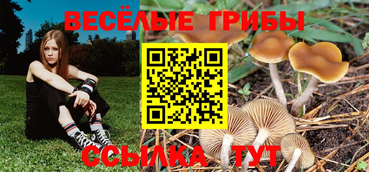 Галлюциногенные грибы мицелий Майский